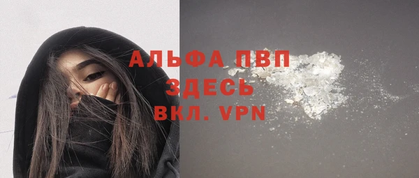 индика Абинск