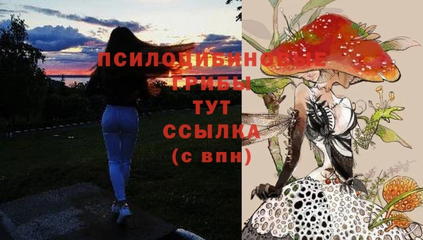 кристаллы Алзамай