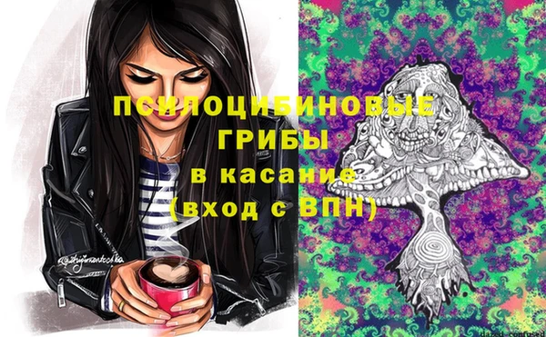 шишки Алексеевка