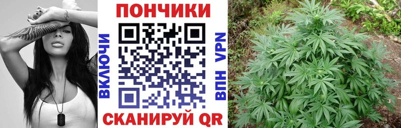 blacksprut сайт  Приозерск  Бошки Шишки LSD WEED  где можно купить наркотик 